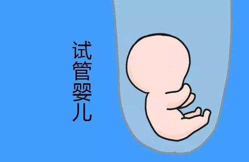 王建国